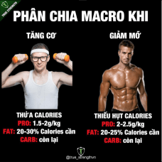Cách lên chế độ ăn phần 4: Tính lượng Macro khi tăng cơ hoặc giảm mỡ