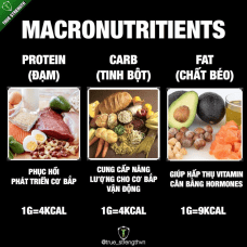 Cách lên chế độ ăn phần 2: Calories và Macronutrients là gì?
